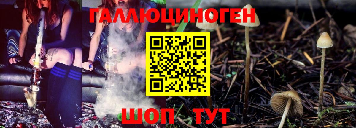Псилоцибиновые грибы мухоморы  Вход с VPN  Туапсе 