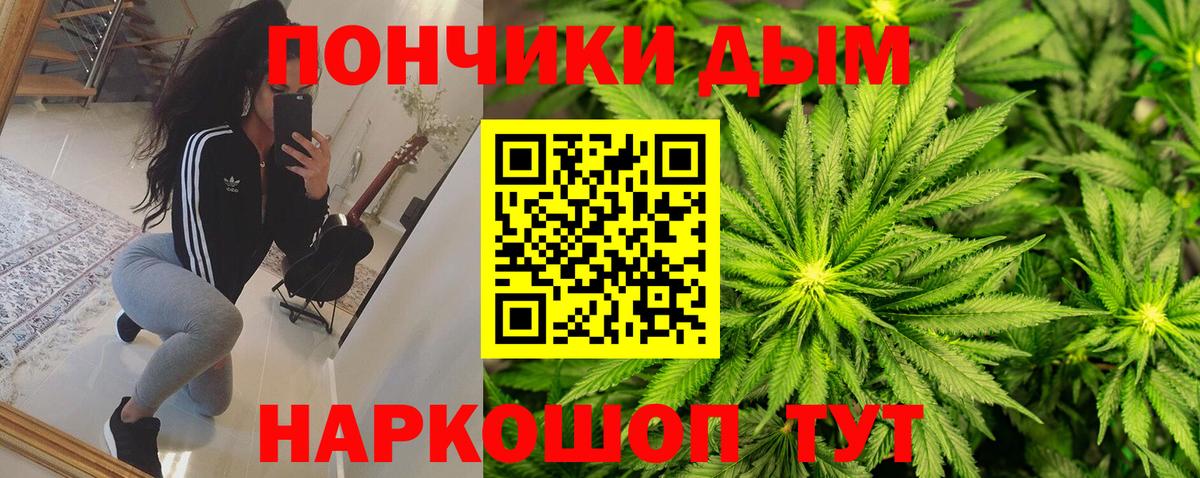 Бошки Шишки Bruce Banner  Бошки Шишки планчик  Канабис SATIVA & INDICA  Вход с VPN  Туапсе  Каннабис гибрид 